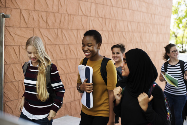 CA , CMA , CS ( Commerce & Accounting)